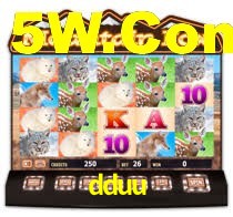 dduu bet plataforma